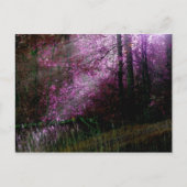 『闇の葉書』 ポストカード (正面)