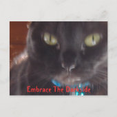 闇を受け入れる ポストカード (正面)