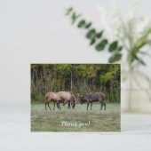 闘う3頭の雄の鹿 感謝の気持ちを込めたポストカード ポストカード (スタンド正面)