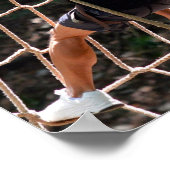 「闘争」のポスター ポスター (角)