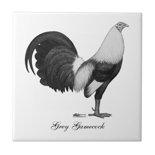 闘鶏の灰色Duckwing タイル (正面)
