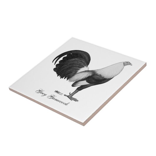 闘鶏の灰色Duckwing タイル (側面)