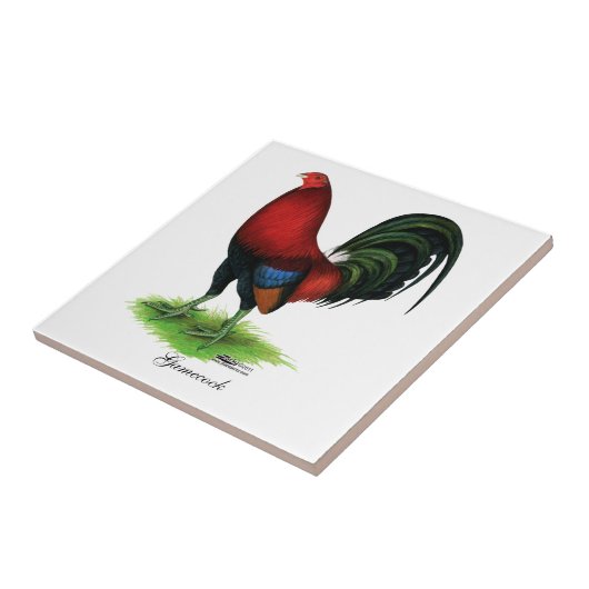 闘鶏:  えんじ色 タイル (側面)