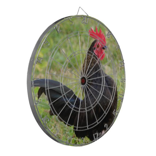 闘鶏 ダーツボード (正面左)