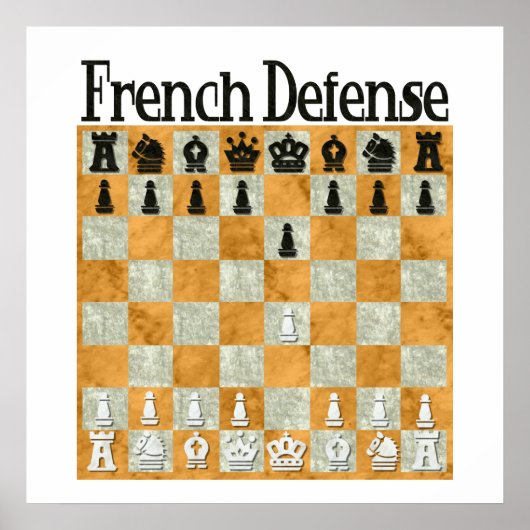 防フランスの衛 ポスター (正面)