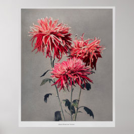 阿佐妻船小川一昌著（1896年） ポスター