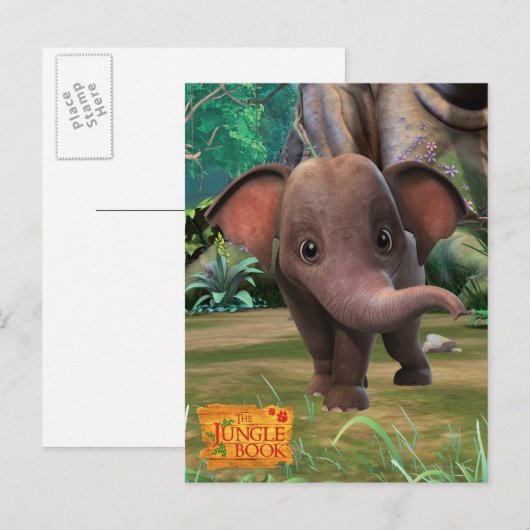 阿布 ポストカード (正面/裏面)