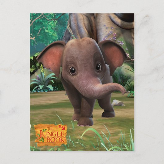 阿布 ポストカード (正面)