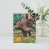 阿布 ポストカード (スタンド正面)