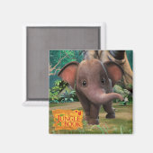 阿布 マグネット (正面/裏面)