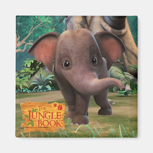 阿布 マグネット (正面)