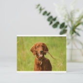 阿樹恵 ポストカード (スタンド正面)