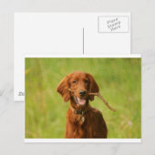 阿樹恵 ポストカード (正面/裏面)