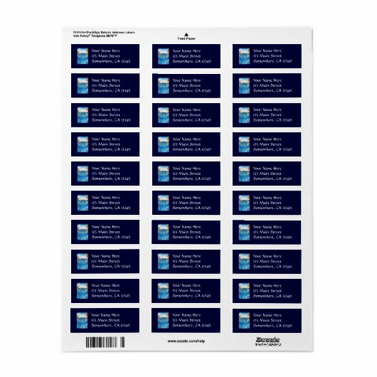 阿波国鳴門ノ渦潮　（あわのくに なりとものうずしお） 　安藤広重 ラベル (フルシート)