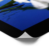 阿津羅 ポスター (角)