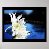 阿津羅 ポスター (正面)