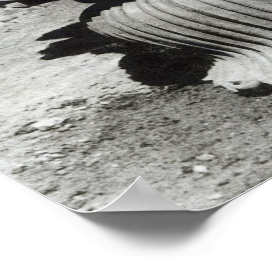 阿聖武天皇の御柱の獅子頭 ポスター (角)