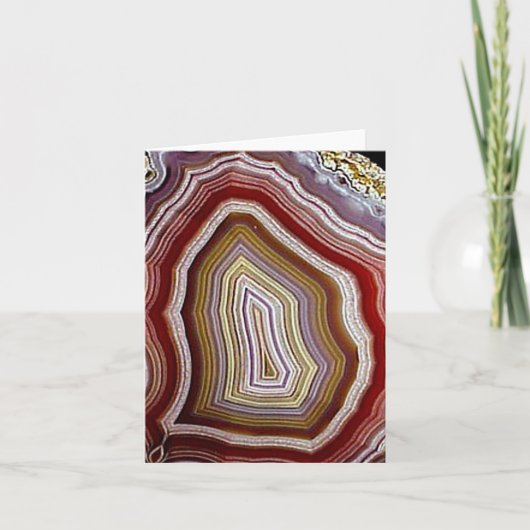 阿舘 カード (正面)