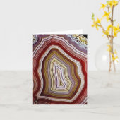 阿舘 カード (黄色い花)