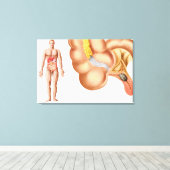 附録医学的去勢 キャンバスプリント (インサイチュ (ウッドフロア))