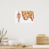 附録医学的去勢 ポスター (キッチン)