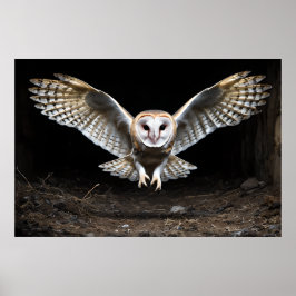 降下 – 静かバーンドウル飛行中 ポスター