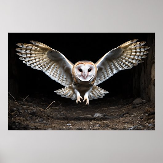 降下 – 静かバーンドウル飛行中 ポスター (正面)