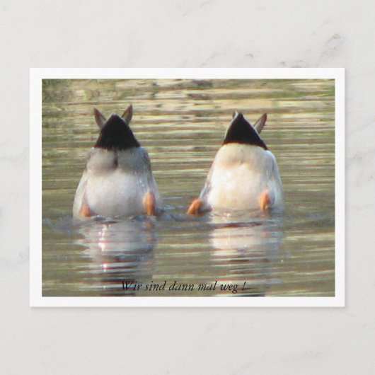 降伏するダン・モール・ウェグ！ ポストカード (正面)