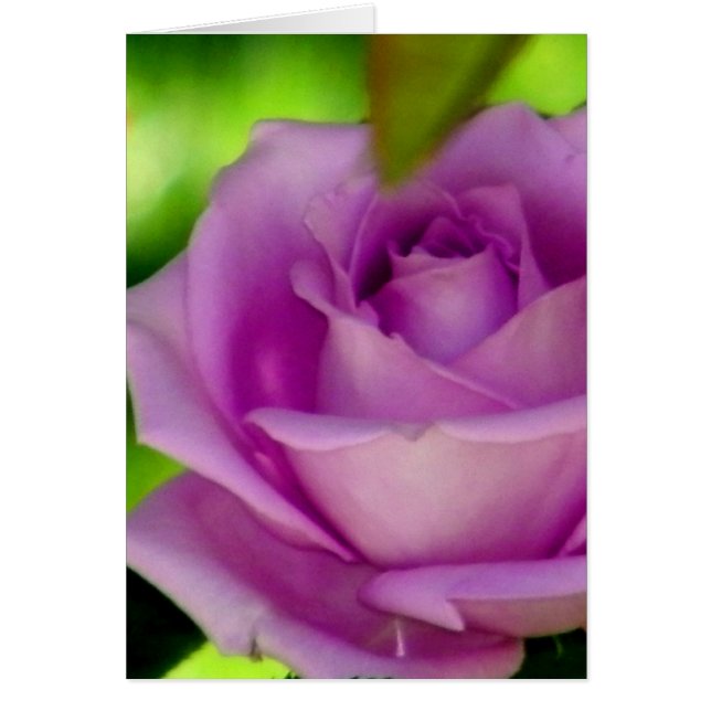 降伏_する (正面)