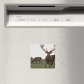 降圧磁石 マグネット (インサイチュ (食洗機))