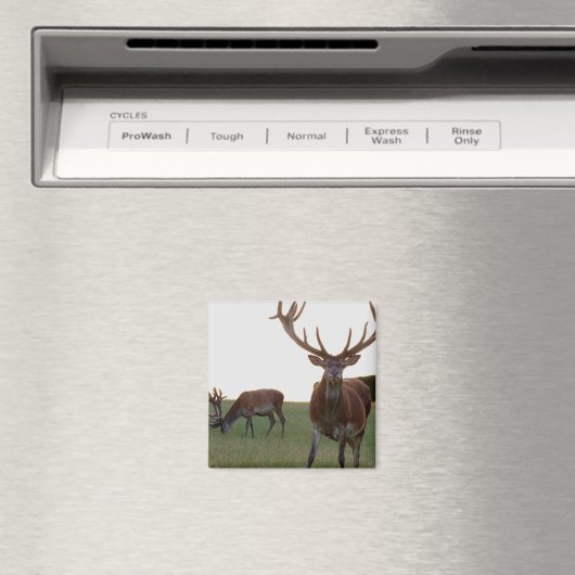 降圧磁石 マグネット (インサイチュ (食洗機))