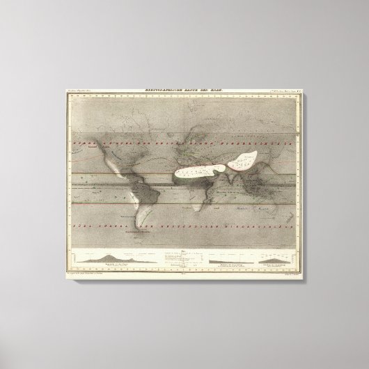 降水世界地図 キャンバスプリント (正面)