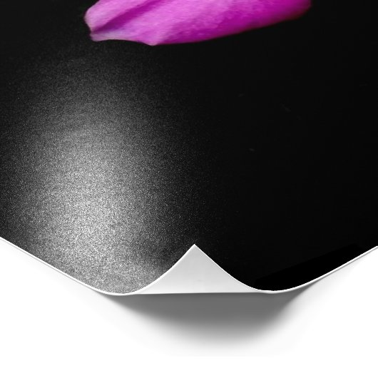 「降雨後の花びら巻き」 フォトプリント (角)