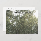 降雨量 ポストカード (正面/裏面)