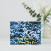 降雪冬クリスマスツリー シーズンポストカード (スタンド正面)