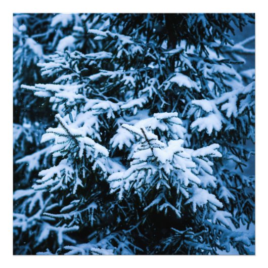 降雪冬クリスマスツリー フォトプリント            (正面)