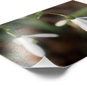 降雪花 フォトプリント            (角)