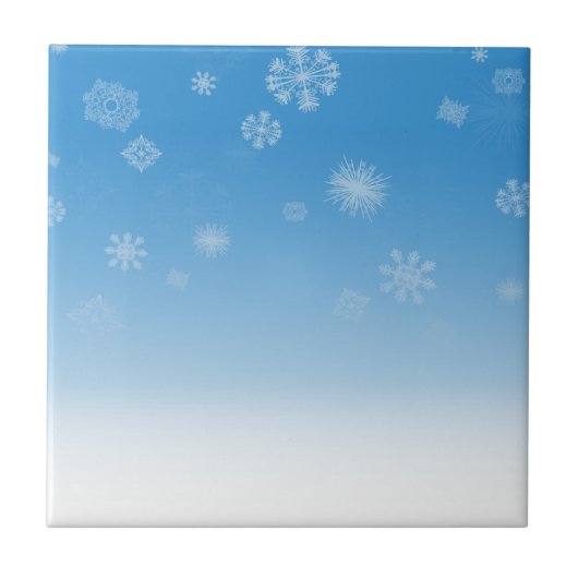 降雪 タイル (正面)