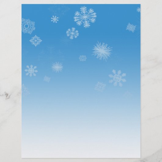降雪 チラシ (裏面)