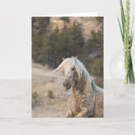 降雪-フリーダムグリーティングカードにギャロッピング カード