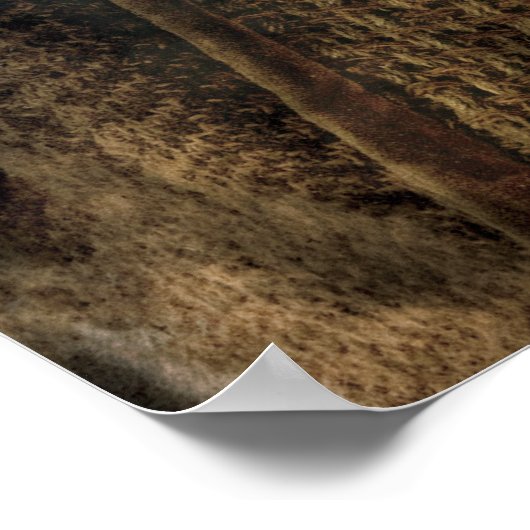 限定版のアートワーク: Oin ポスター (角)