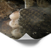 限定版アートワーク： Bofur ポスター (角)