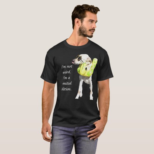 限定版 Tシャツ (正面フル)