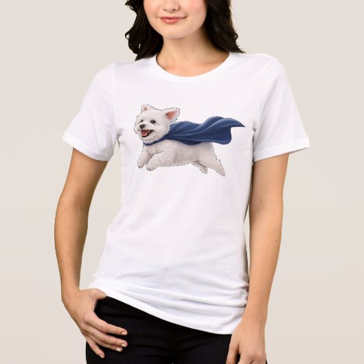 限界は空 トライブレンドTシャツ (正面)