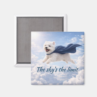 限界は空 マグネット