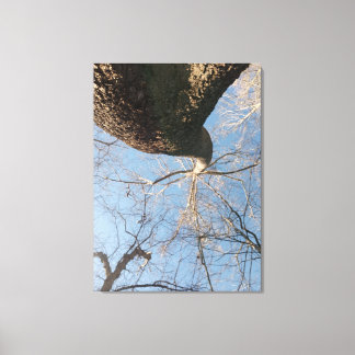 限界を超える キャンバスプリント