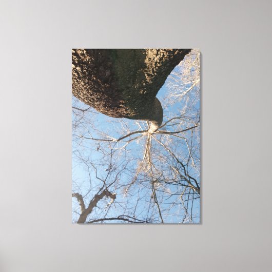 限界を超える キャンバスプリント (正面)