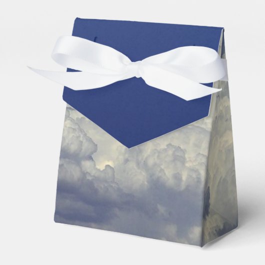 限界を越える フェイバーボックス (正面サイド)