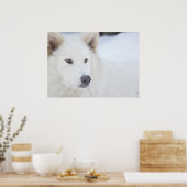 陛下 ポスター (キッチン)