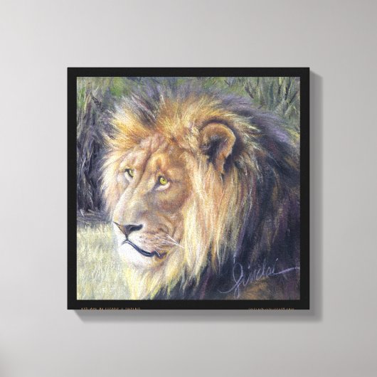 「陛下」 14" x 14"キャンバスのライオンのプリント キャンバスプリント (正面)
